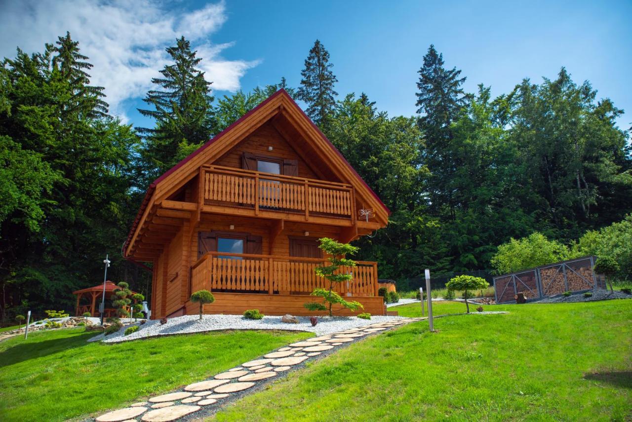 Gorskie Wytchnienie Domki Karkonosze Piechowice  Ngoại thất bức ảnh